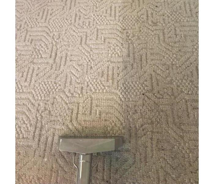 clean carpet side by side with dirty carpet
